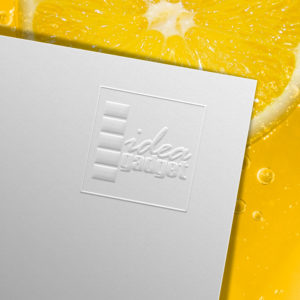 Rilievo a secco IDEA GADGET
