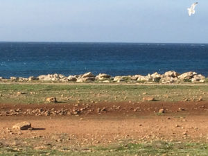 Sicilia | Favignana