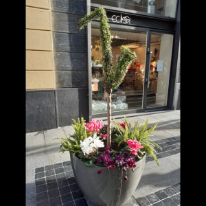 Festival di Sanremo | Addobbi floreali in Corso Matteotti