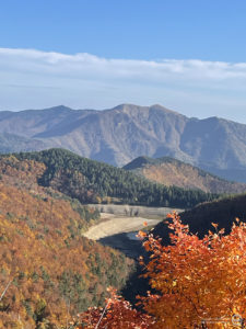 Colle della Melosa (IM) | Foliage